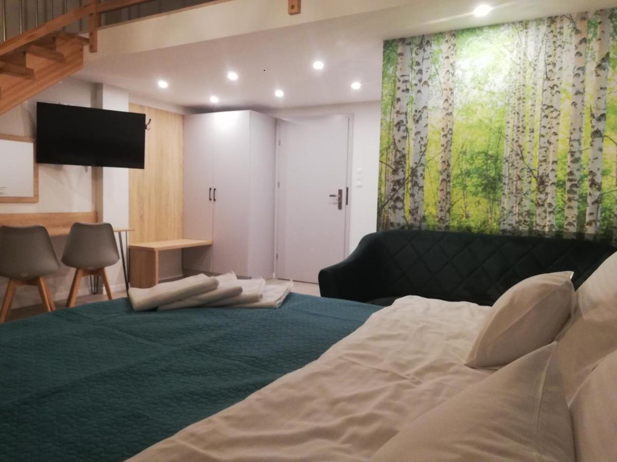 U Zrodel Bed and Breakfast Wisła Eksteriør billede